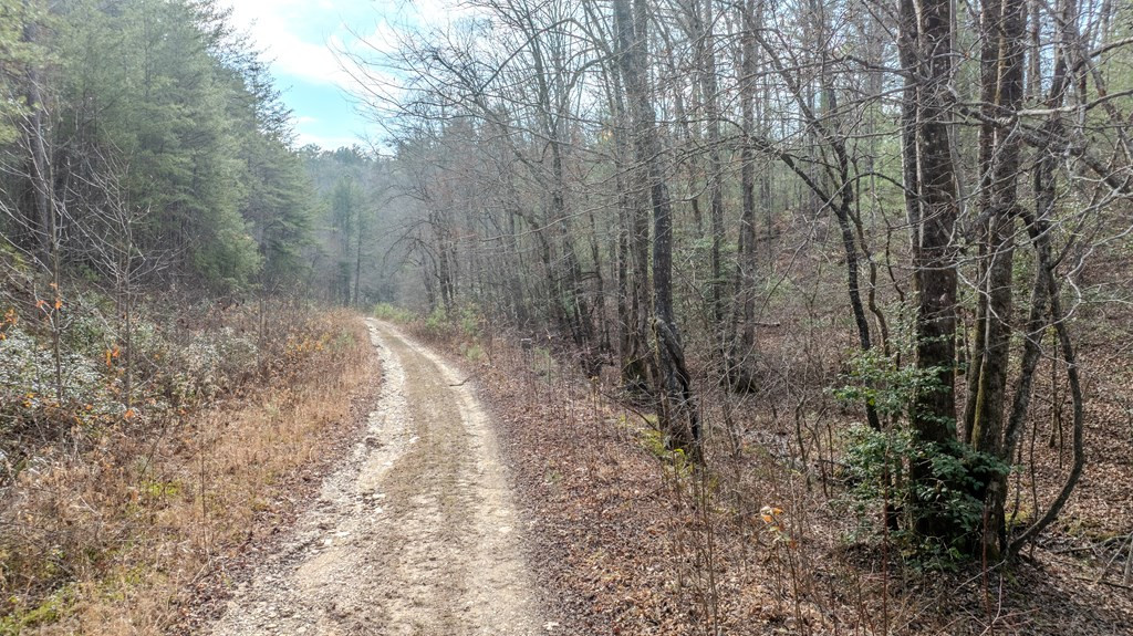 1.03 Deep Forest Road Property Photo 31