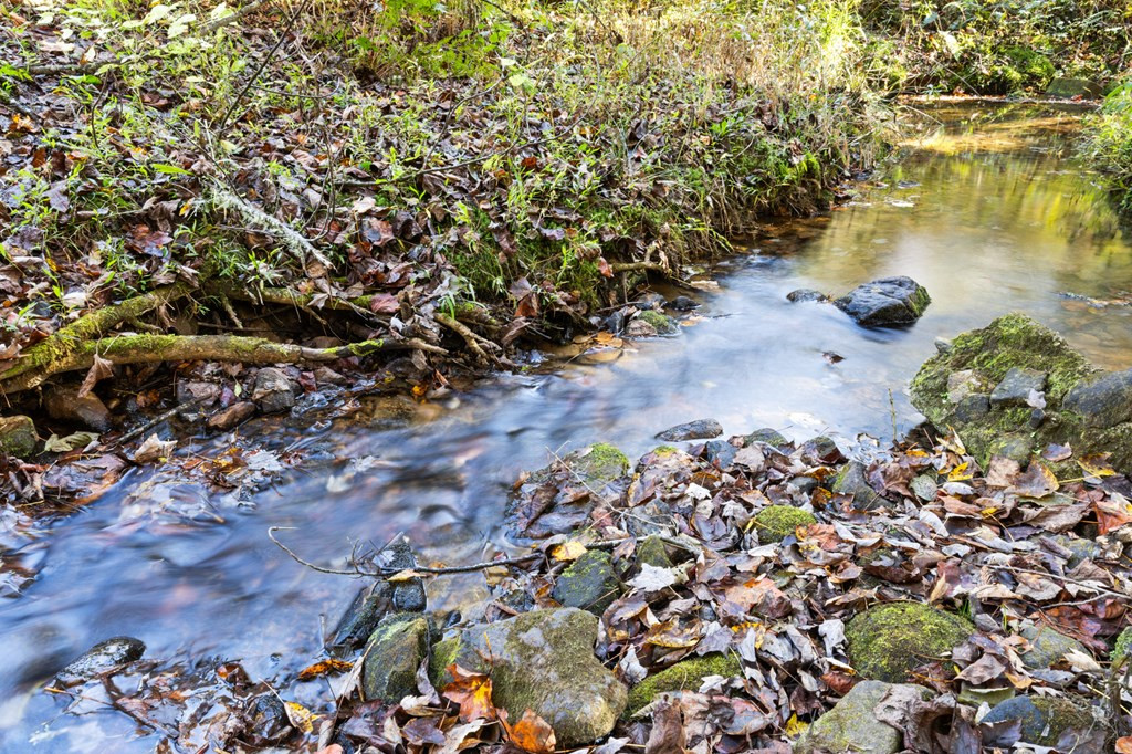 358 Misty River Circle Property Photo 11