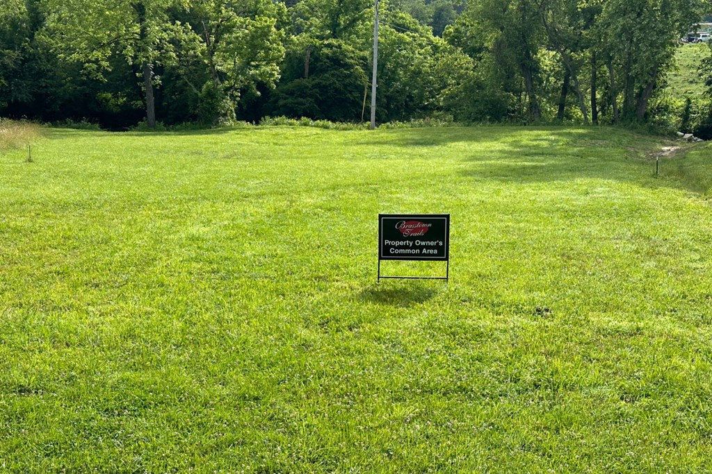 Lot 56 Brasstown Trails Property Photo 7