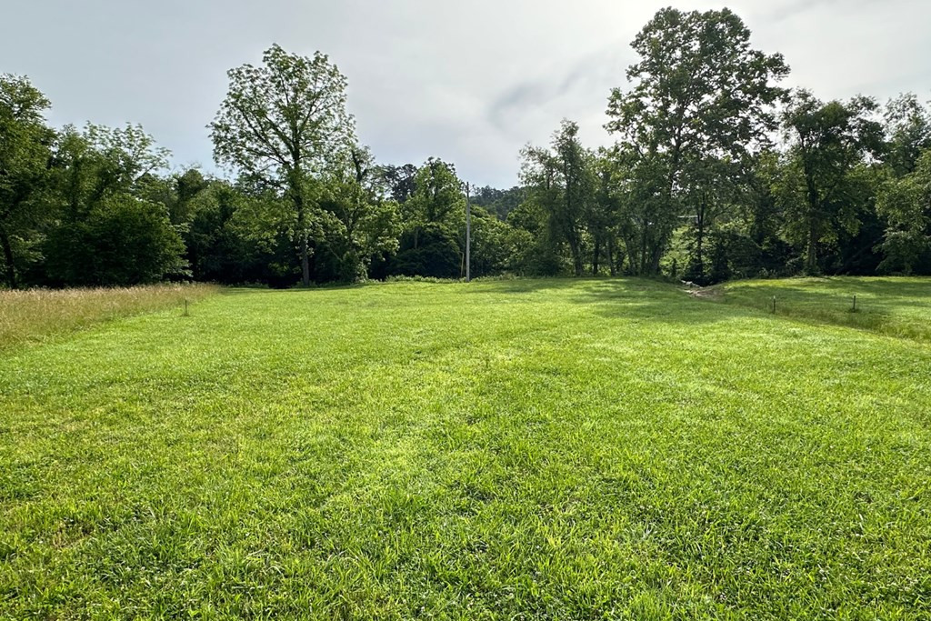Lot 56 Brasstown Trails Property Photo 8