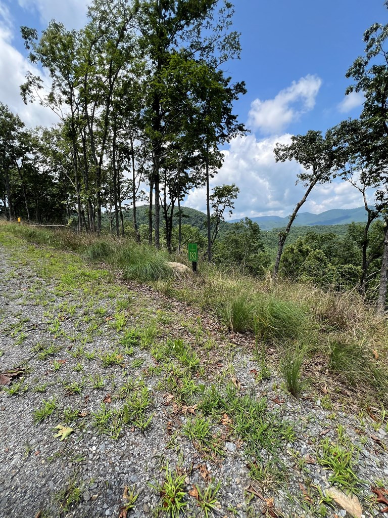 Lot 183 183 Skyline View Drive Property Photo 6