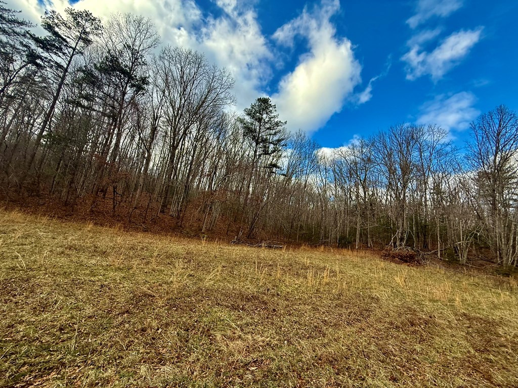 0 Cedar Springs Road Property Photo 4