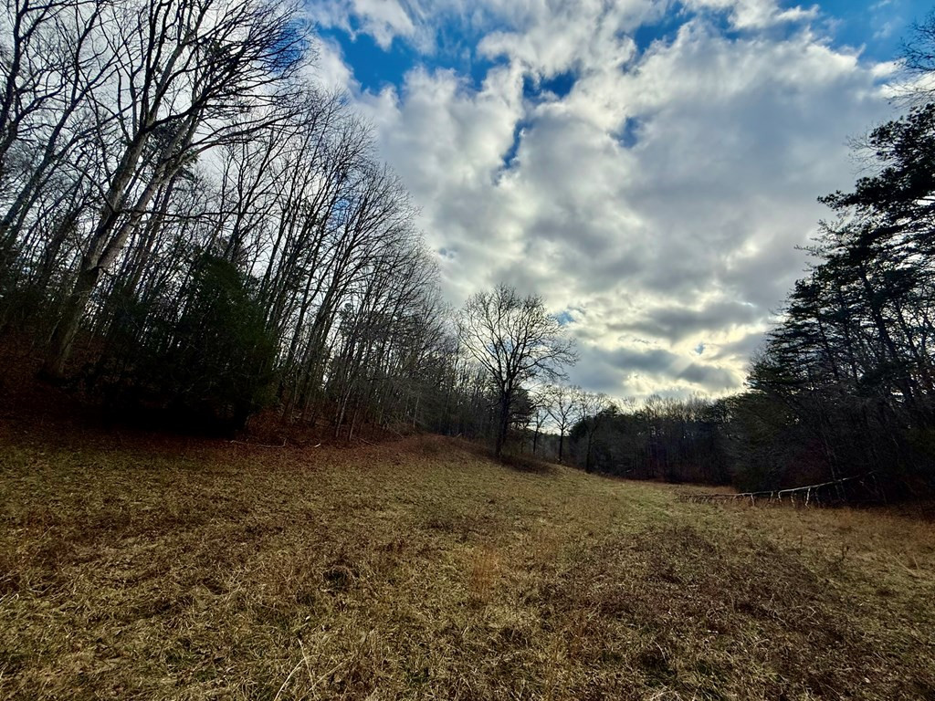 0 Cedar Springs Road Property Photo 5