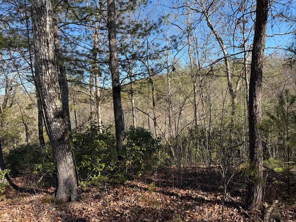 Lot #20 20 Yellow Maple Drive Property Photo 6