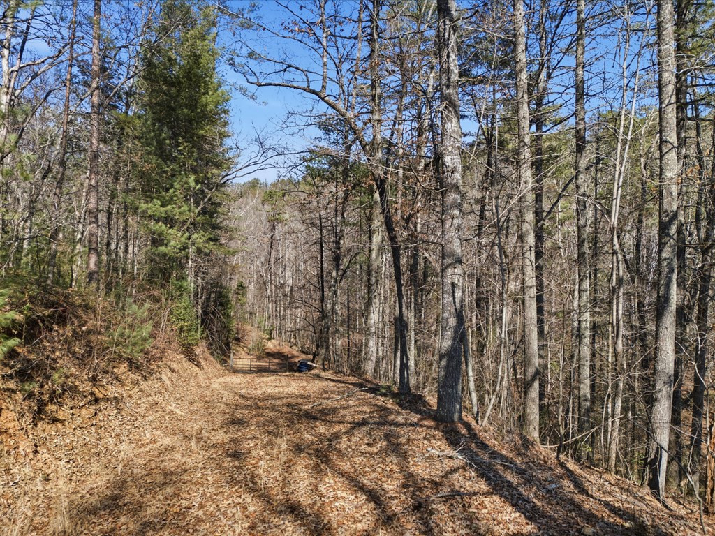 115 Crowe Mountain Lane Property Photo 3