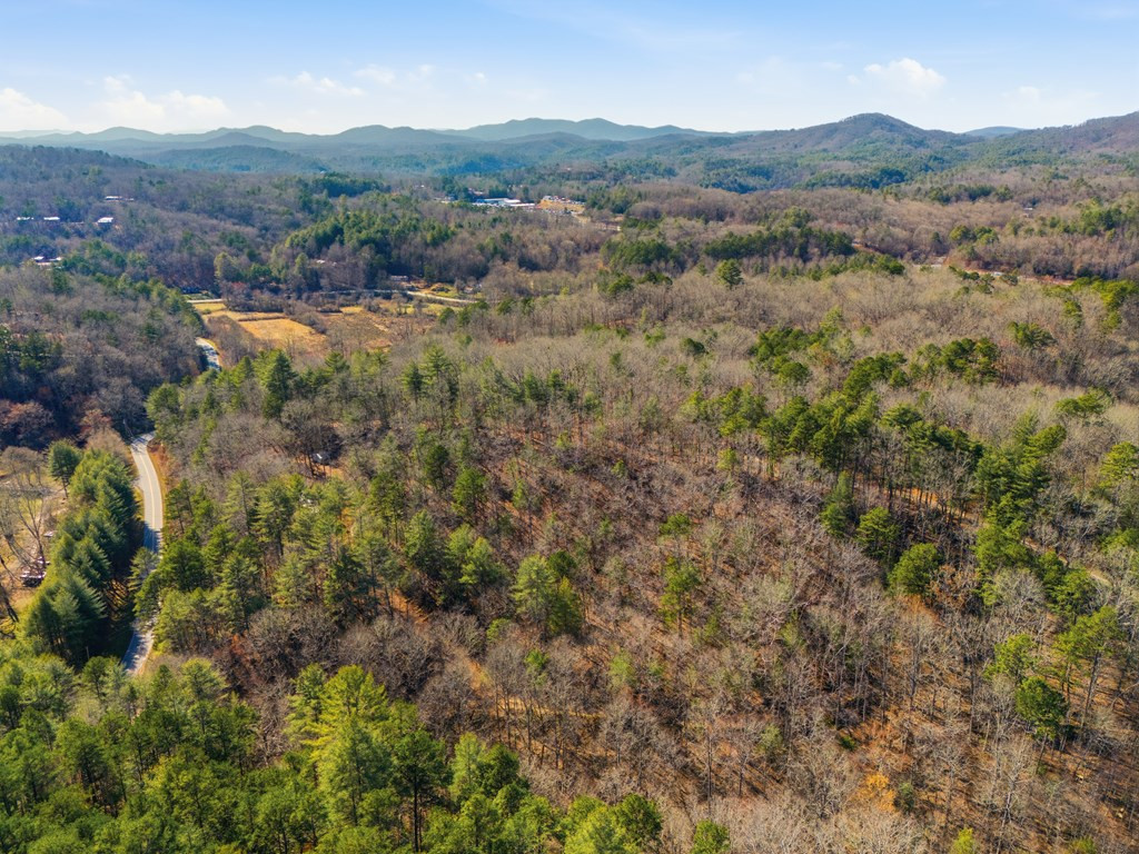 115 Crowe Mountain Lane Property Photo 4
