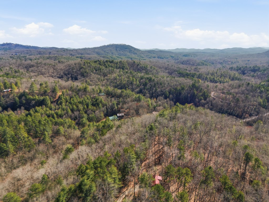 115 Crowe Mountain Lane Property Photo 12