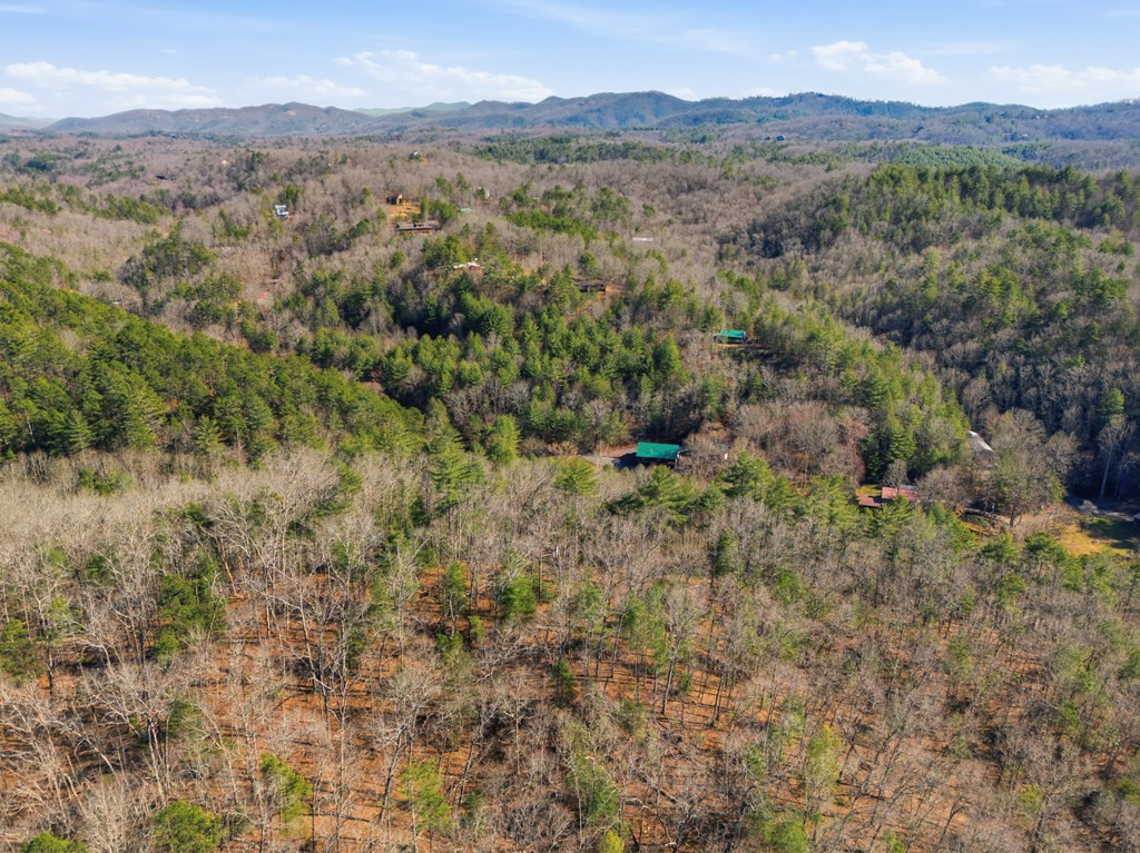 115 Crowe Mountain Lane Property Photo 14
