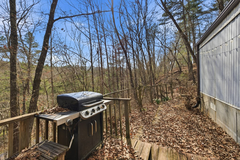 115 Crowe Mountain Lane Property Photo 17