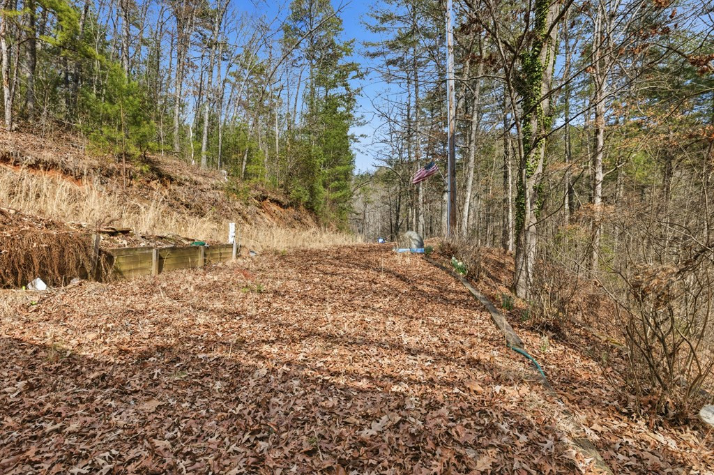 115 Crowe Mountain Lane Property Photo 19