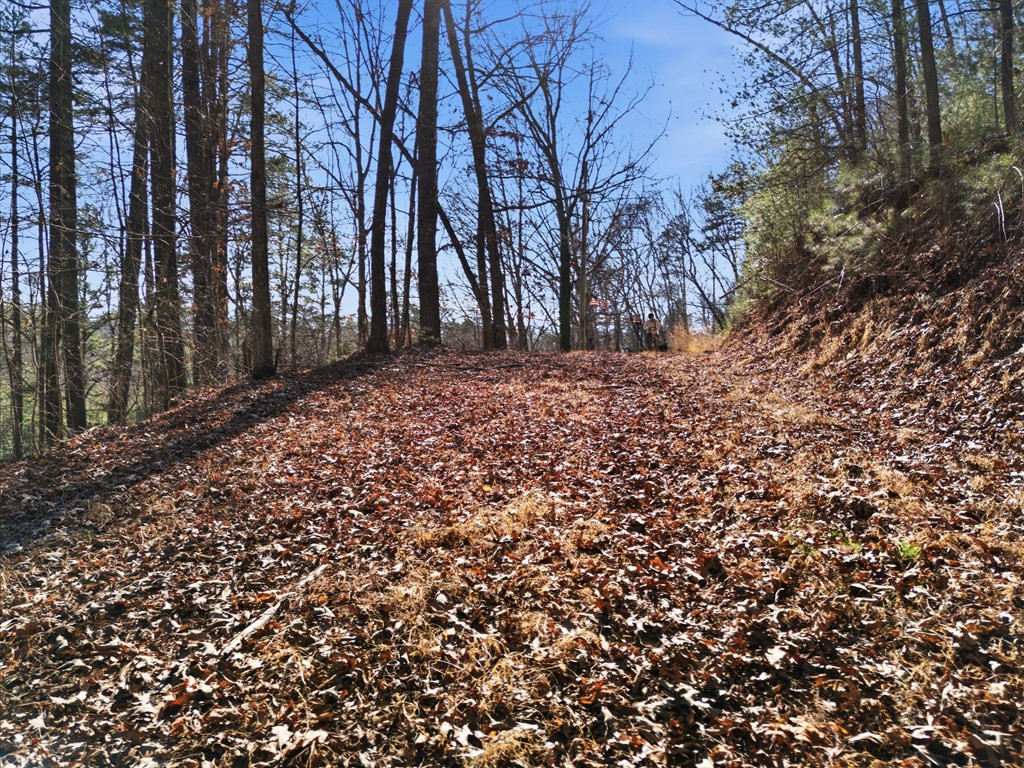 115 Crowe Mountain Lane Property Photo 20