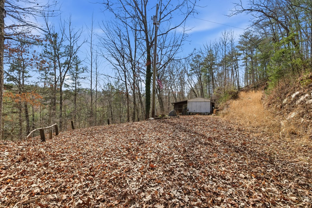 115 Crowe Mountain Lane Property Photo 21