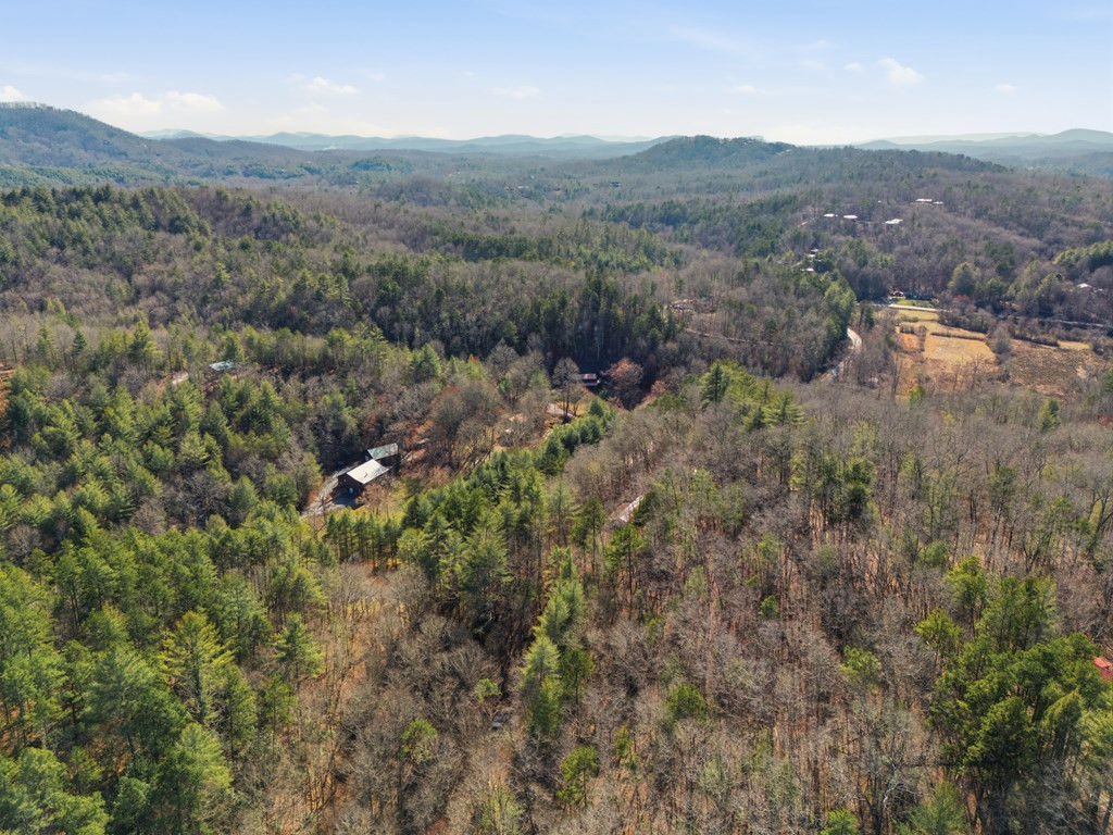 115 Crowe Mountain Lane Property Photo 26