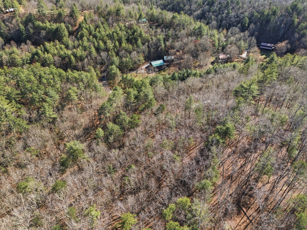 115 Crowe Mountain Lane Property Photo 28