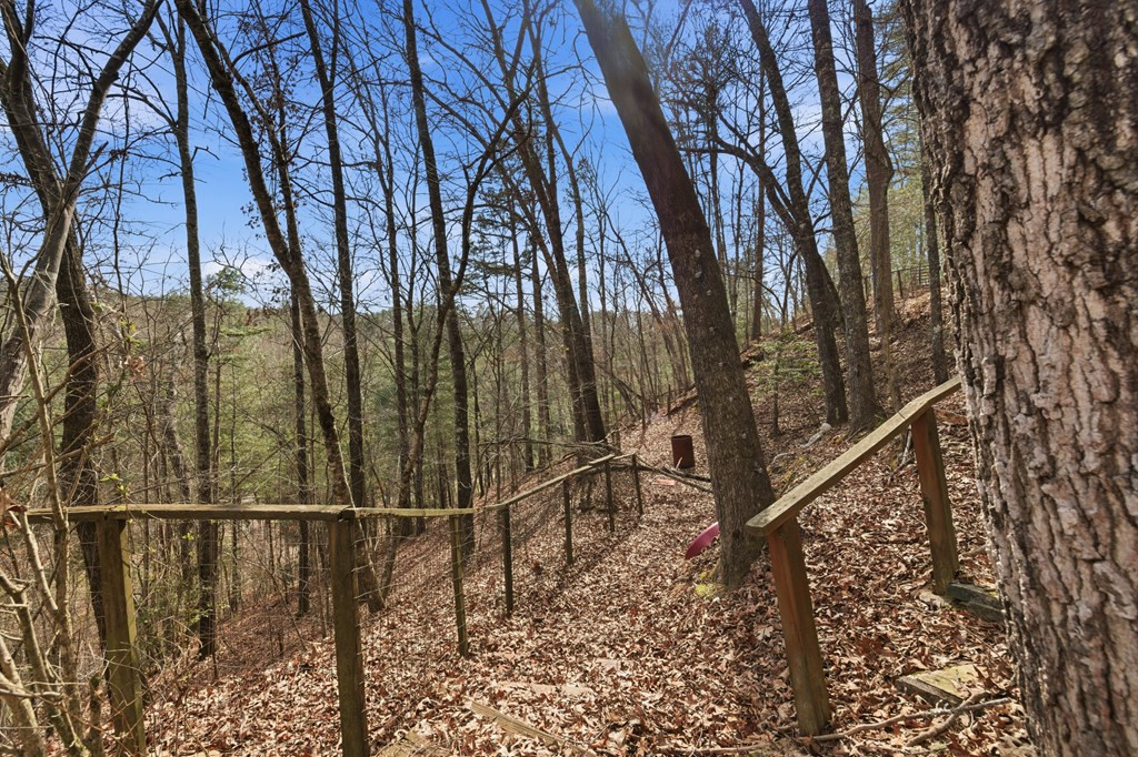 115 Crowe Mountain Lane Property Photo 29