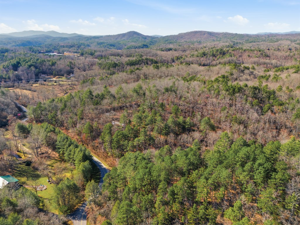 115 Crowe Mountain Lane Property Photo 32