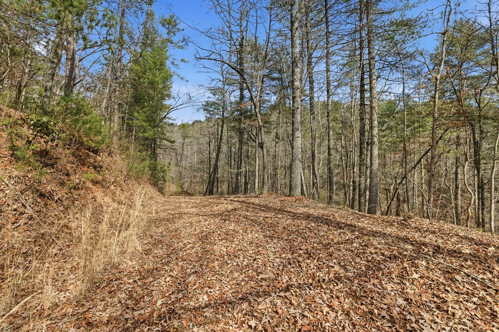 115 Crowe Mountain Lane Property Photo 33