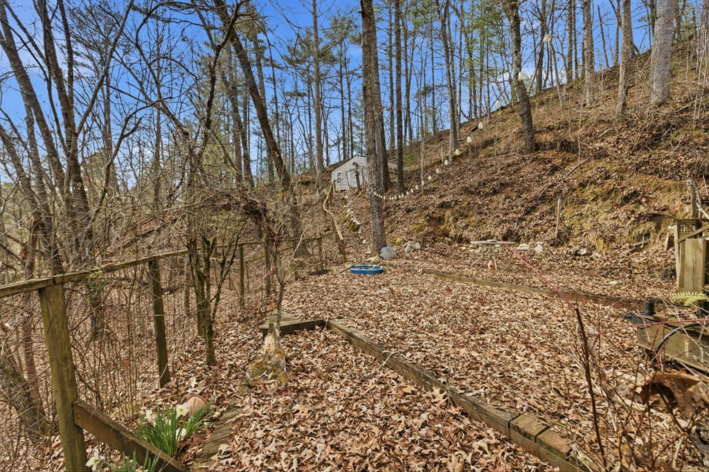 115 Crowe Mountain Lane Property Photo 35