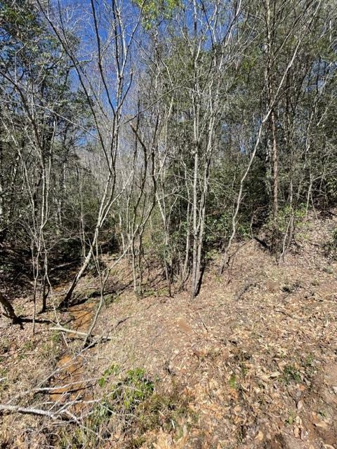 Lot 6 6 Willow Ridge Property Photo 7