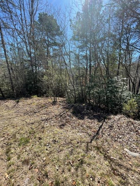 Lot 6 6 Willow Ridge Property Photo 8