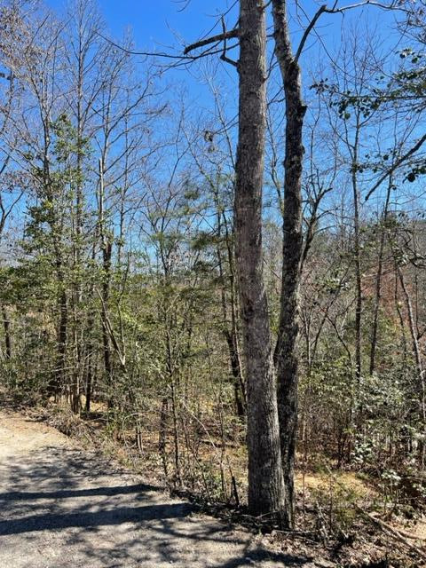 Lot 6 6 Willow Ridge Property Photo 11