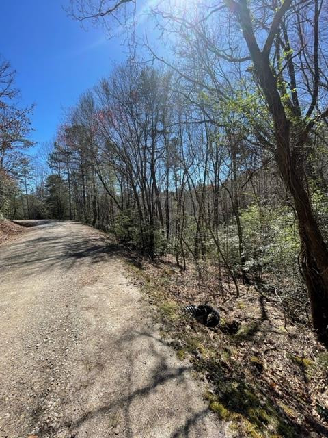 Lot 6 6 Willow Ridge Property Photo 12
