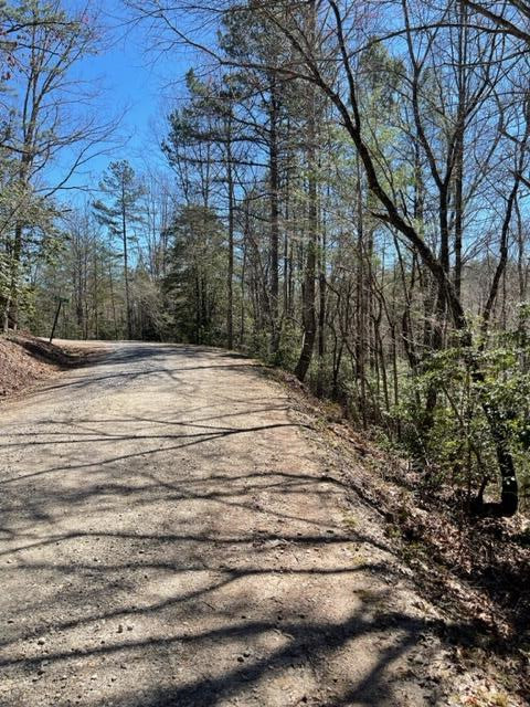Lot 6 6 Willow Ridge Property Photo 13