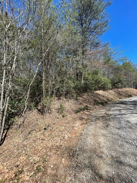 Lot 6 6 Willow Ridge Property Photo 14