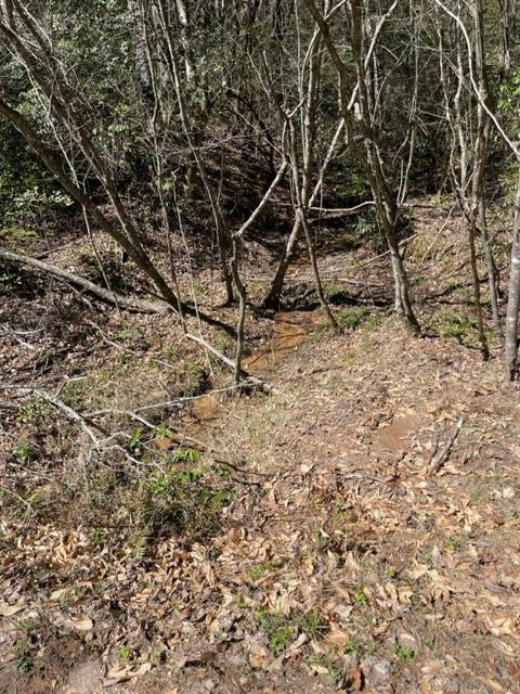 Lot 6 6 Willow Ridge Property Photo 16