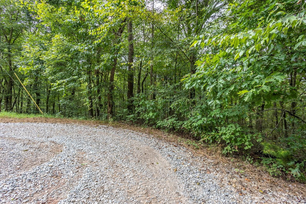 3 Ac Chestnut Flats Road Property Photo 6