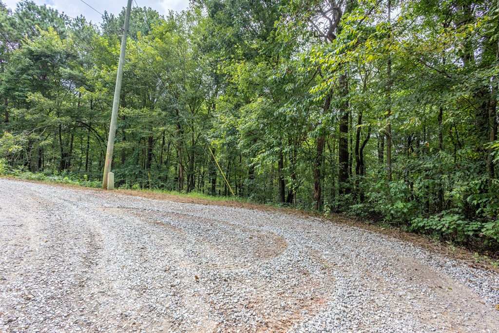 3 Ac Chestnut Flats Road Property Photo 7