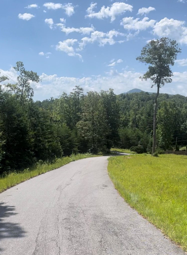 406 32 Spirit Bear Drive Property Photo 6
