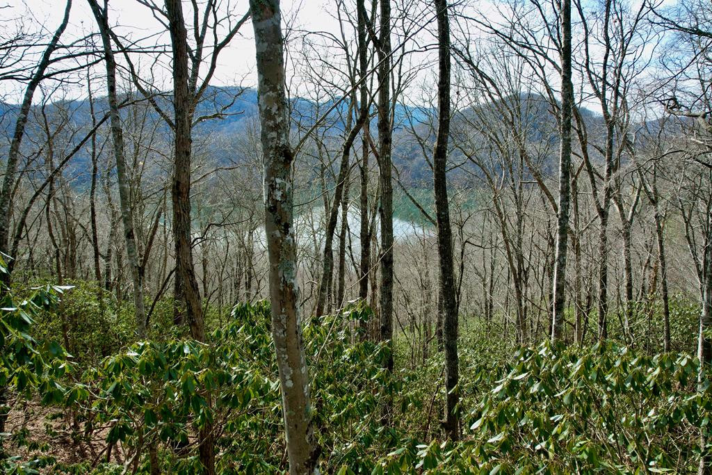 TBD Zimmerman / Holly Ridge Road Property Photo 1