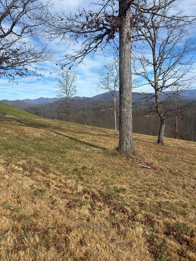 Lot 24 24 Jack Property Photo 2