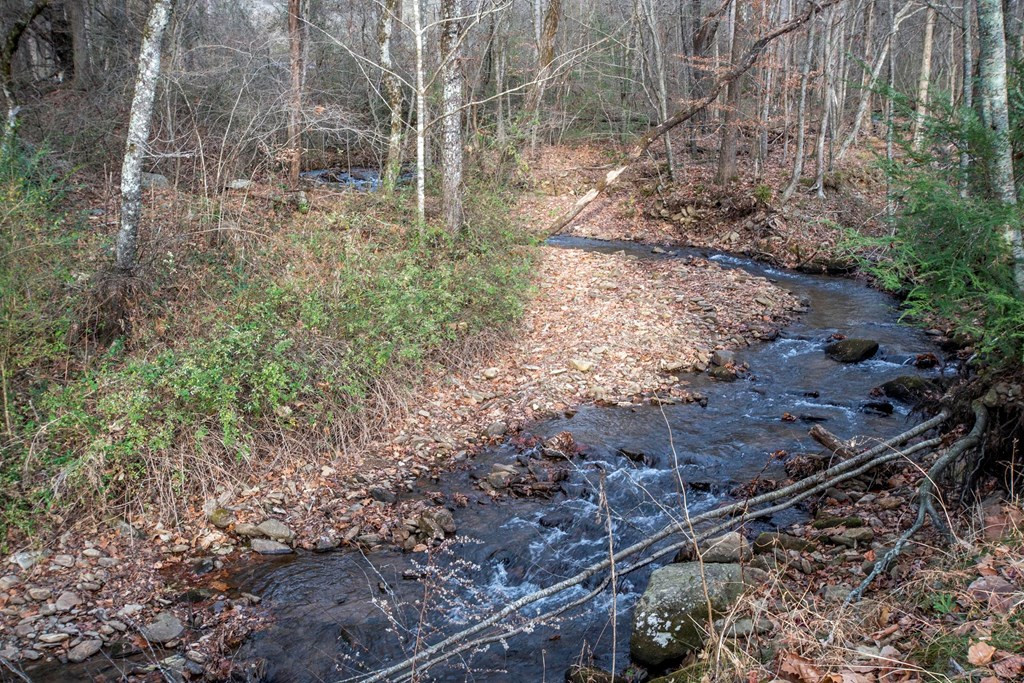 11509 Hwy 64 E Property Photo 4