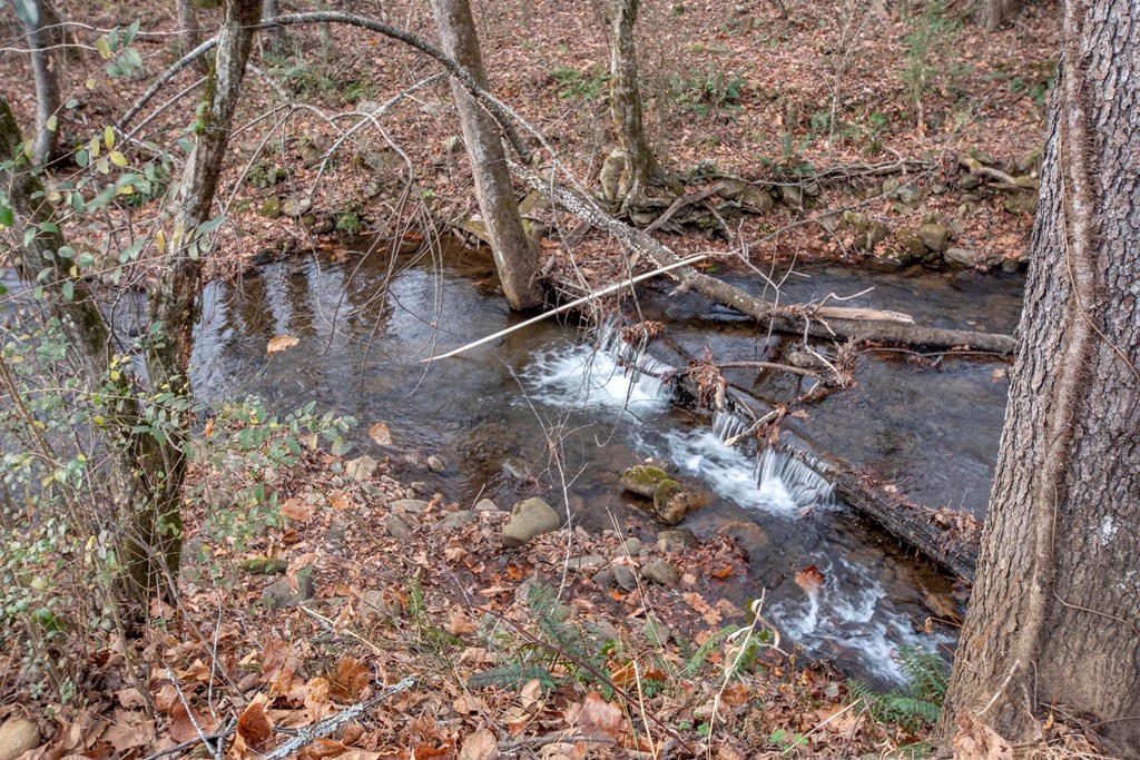 11509 Hwy 64 E Property Photo 40