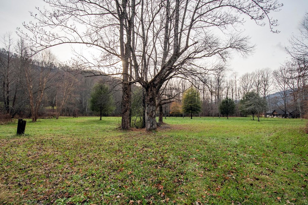 11509 Hwy 64 E Property Photo 41