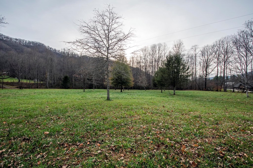 11509 Hwy 64 E Property Photo 42