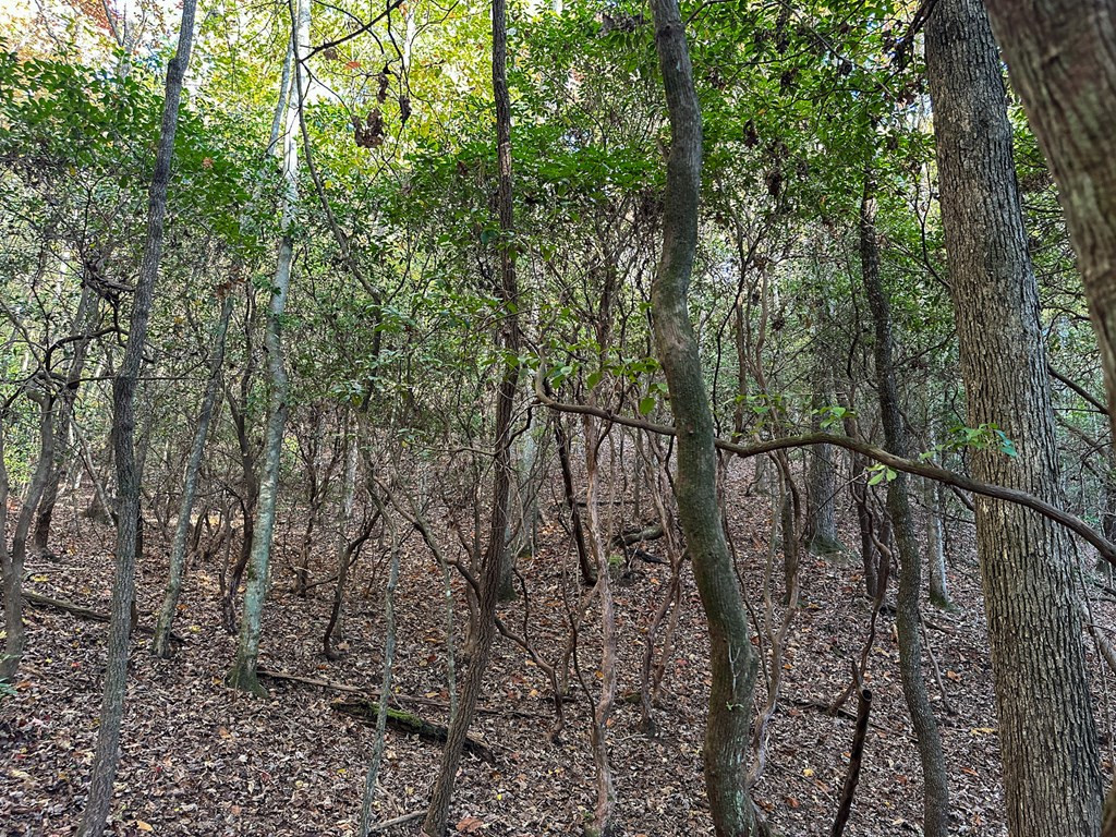 0 8 Dones Drive Property Photo 6