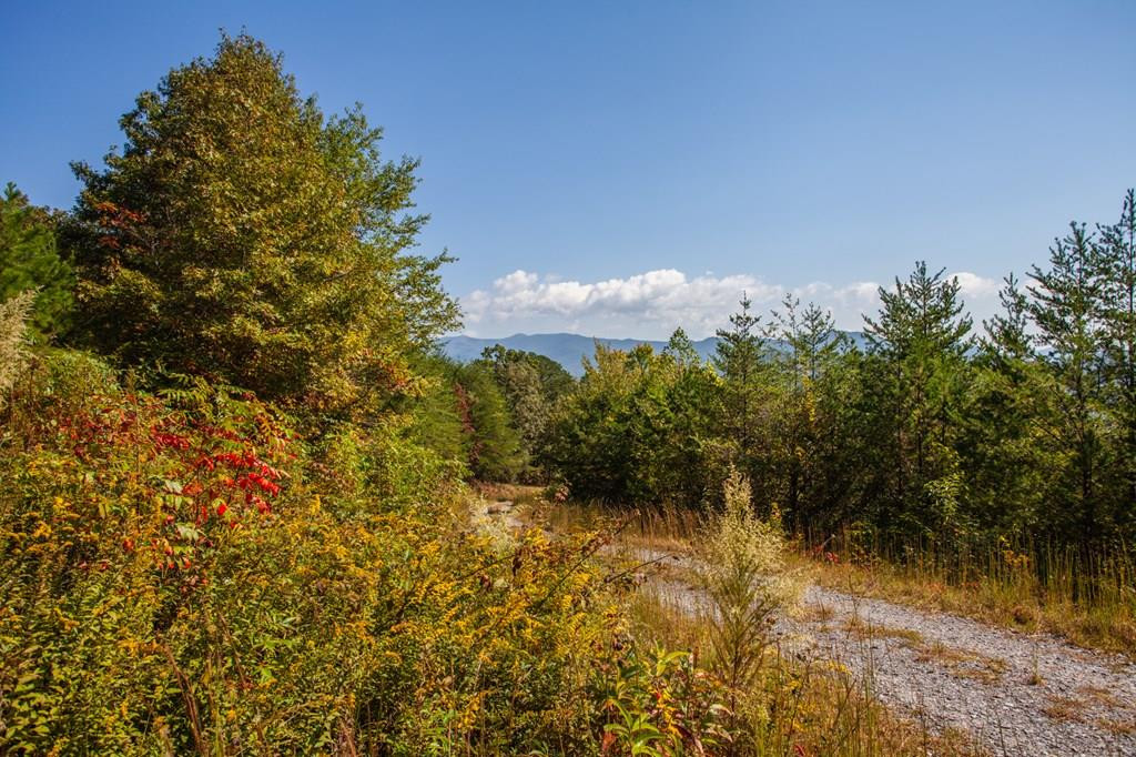 000 Mistletoe Ridge Property Photo 1