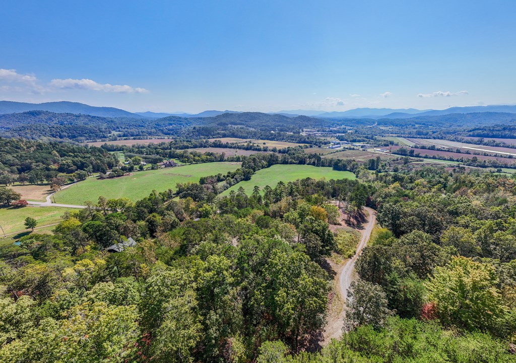 000 Mistletoe Ridge Property Photo 18