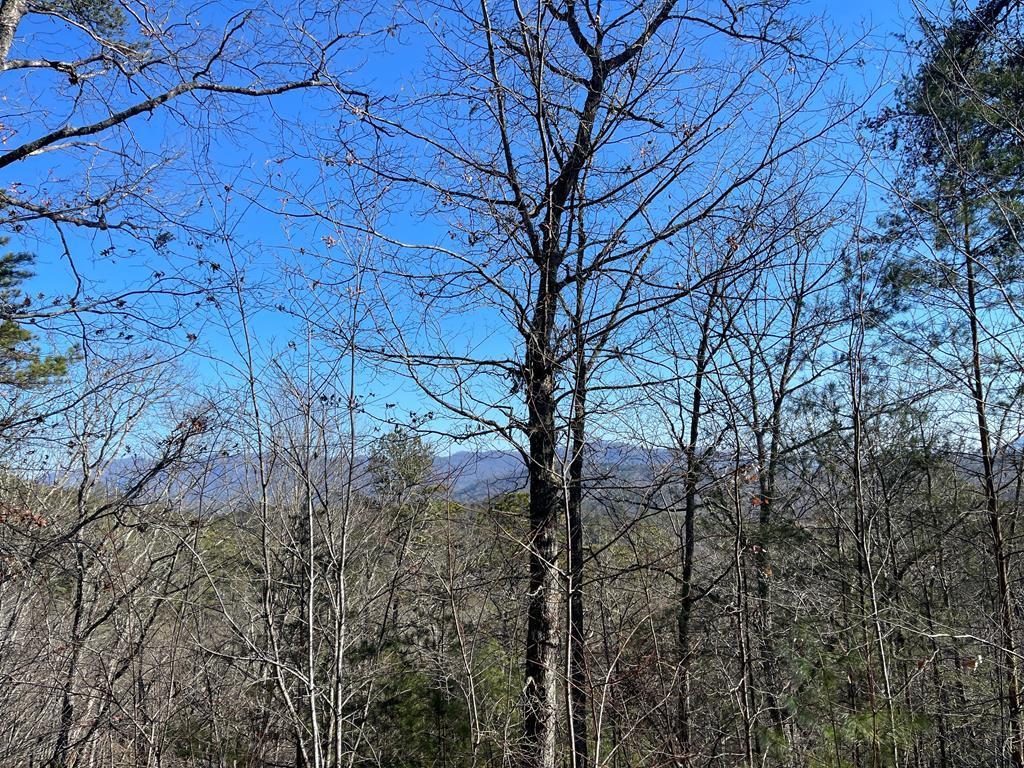000 Mistletoe Ridge Property Photo 22