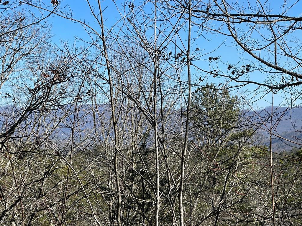 000 Mistletoe Ridge Property Photo 23