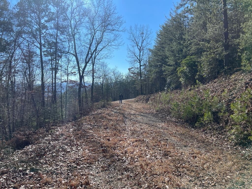 000 Mistletoe Ridge Property Photo 24