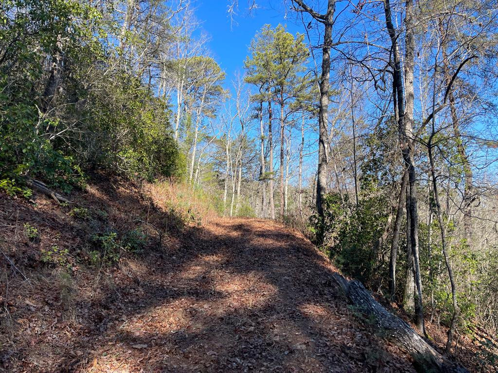 000 Mistletoe Ridge Property Photo 25