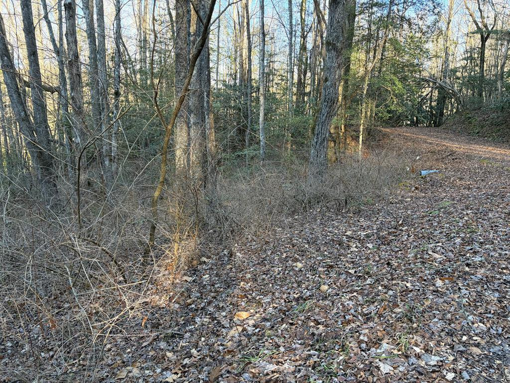 00 19 Choga Trail Property Photo 2