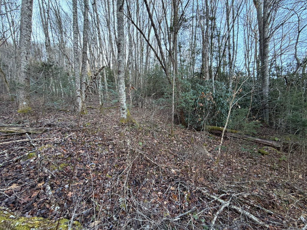 00 19 Choga Trail Property Photo 5