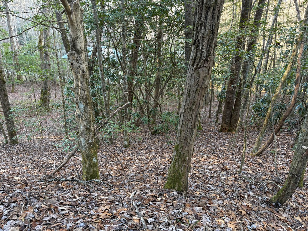 00 19 Choga Trail Property Photo 6