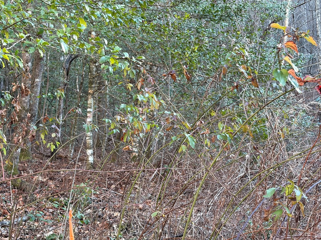 00 19 Choga Trail Property Photo 7