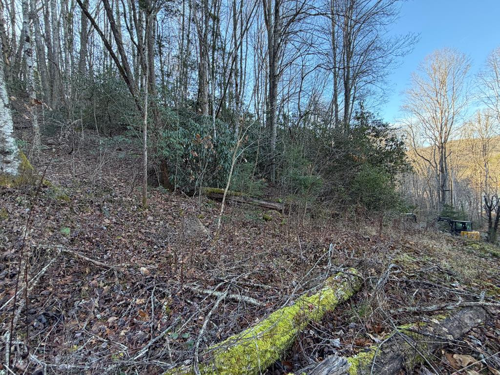 00 19 Choga Trail Property Photo 9